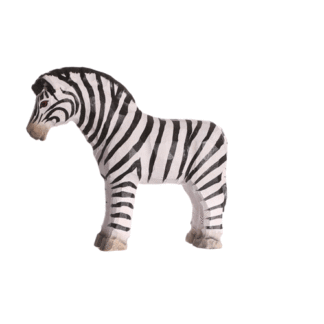 rotating picture of a zebra