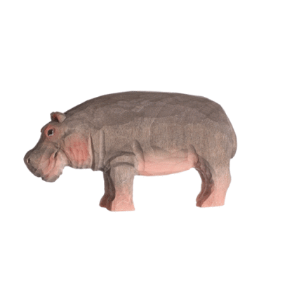 rotating picture of a hippo