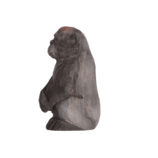 rotating picture of a gorilla