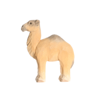 rotating picture of a dromedary