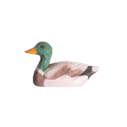 rotating picture of a duck