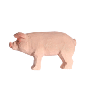 rotating picture of a pig