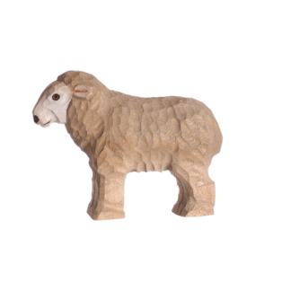 rotating picture of a sheep