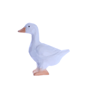 rotating picture of a goose