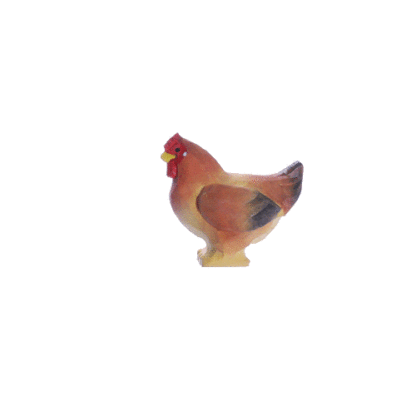 rotating picture of a chicken
