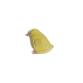 rotating picture of a chick