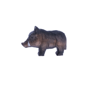 rotating picture of a wild boar