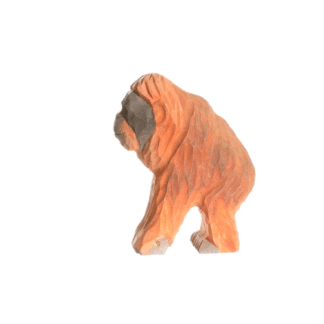 rotating picture of an orangutan