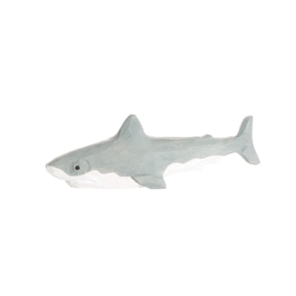 rotating picture of a shark