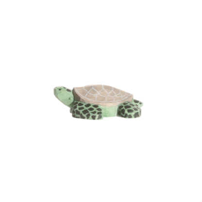 rotating picture of a turtle