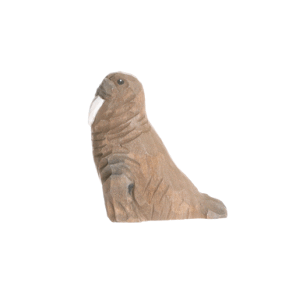 rotating picture of a walrus
