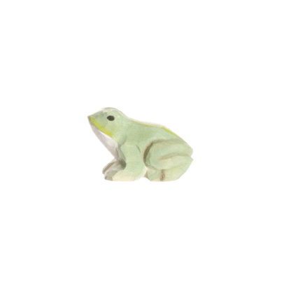 rotating picture of a frog