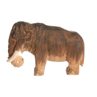 rotating picture of a mammoth