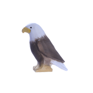 rotating picture of an eagle