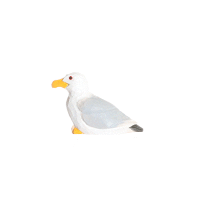 rotating picture of a seagull