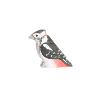 rotating picture of a woodpecker