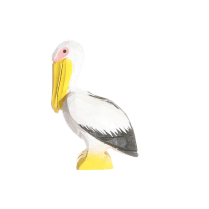 rotating picture of a pelican