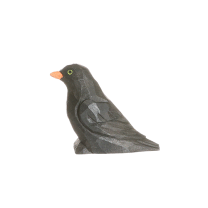 rotating picture of a blackbird